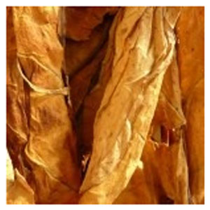 Flue-cured tobacco is a type of cigarette tobacco.